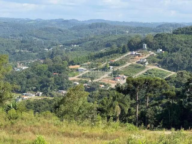 Terreno venda em Região Geográfica Imediata de Bento Gonçalves, Bento Gonçalves