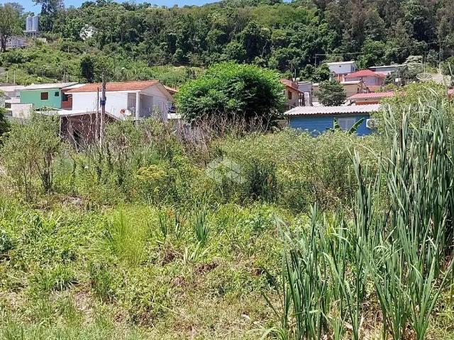 Terreno venda em Região Geográfica Imediata de Bento Gonçalves, Bento Gonçalves