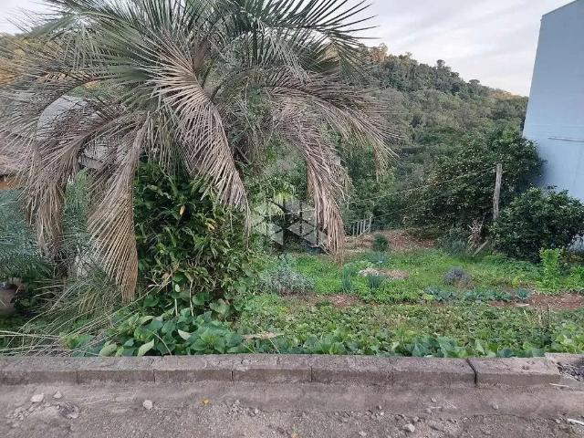 Terreno venda em Região Geográfica Imediata de Bento Gonçalves, Bento Gonçalves