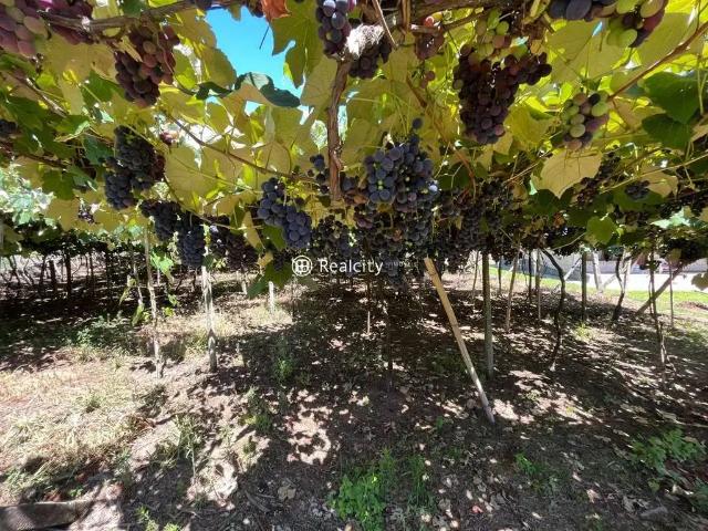 Terreno venda em Região Geográfica Imediata de Bento Gonçalves, Bento Gonçalves