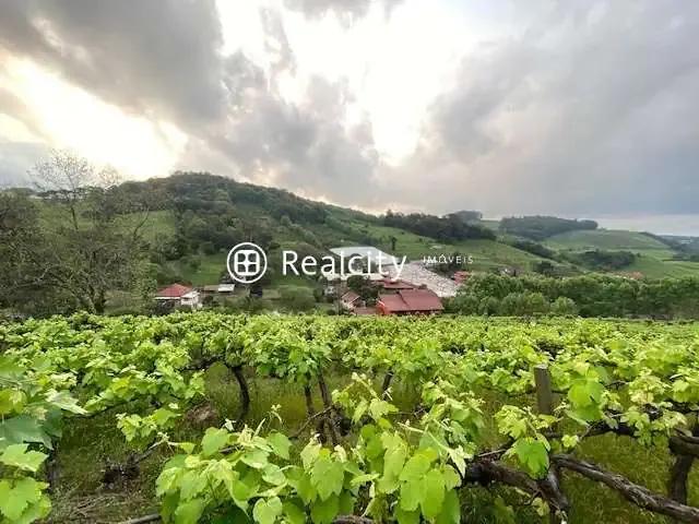 Terreno venda em Região Geográfica Imediata de Bento Gonçalves, Bento Gonçalves