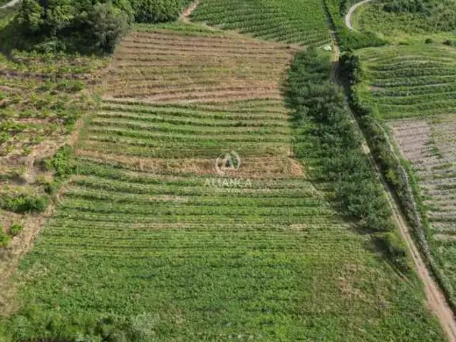 Terreno venda em Região Geográfica Imediata de Bento Gonçalves, Bento Gonçalves