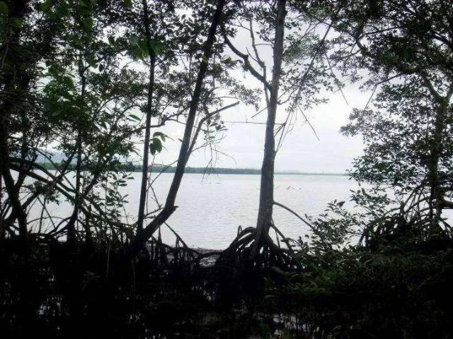 Terreno venda em Região Imediata de Caraguatatuba-Ubatuba-São Sebastião, Região Metropolitana do Vale do Paraíba e Litoral Norte