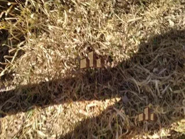 Terreno venda em Regional Norte, Betim