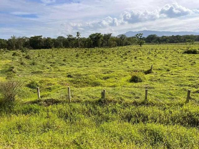 Terreno venda em Região Geográfica Imediata de Florianópolis, Biguaçu
