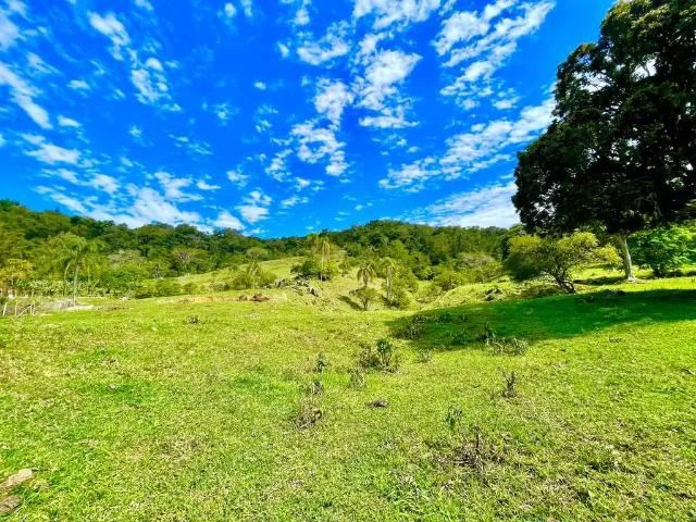 Terreno venda em Região Geográfica Imediata de Florianópolis, Biguaçu