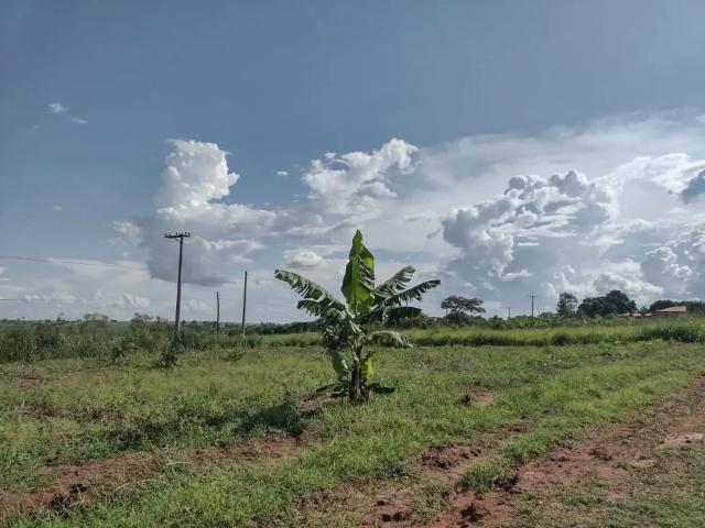 Terreno venda em Região Imediata de Birigui-Penápolis, Birigui