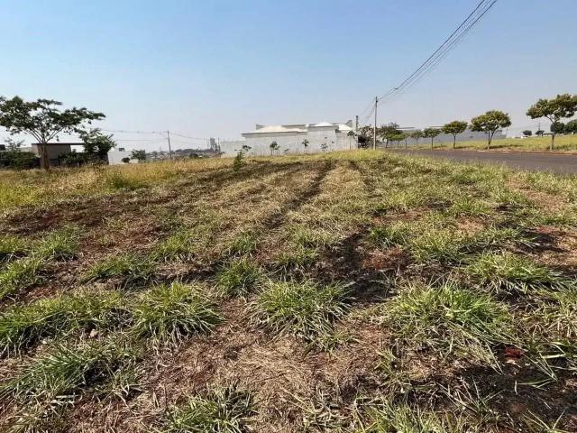 Terreno venda em Região Imediata de Birigui-Penápolis, Birigui