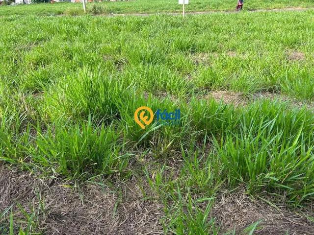 Terreno venda em Região Imediata de Birigui-Penápolis, Birigui