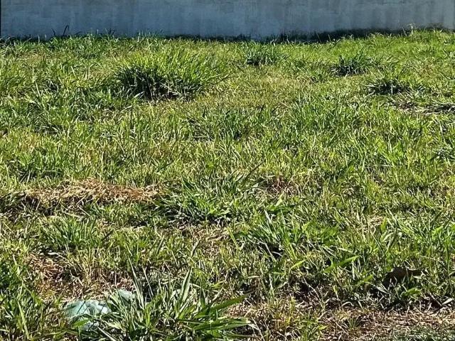Terreno venda em Região Imediata de Birigui-Penápolis, Birigui