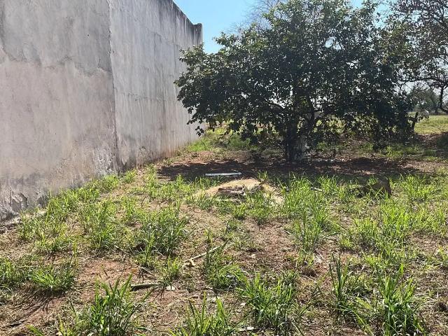 Terreno venda em Região Imediata de Birigui-Penápolis, Birigui