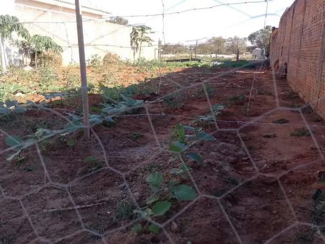 Terreno venda em Região Imediata de Birigui-Penápolis, Birigui