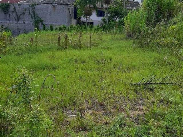 Terreno venda em Região Geográfica Imediata de Blumenau, Blumenau