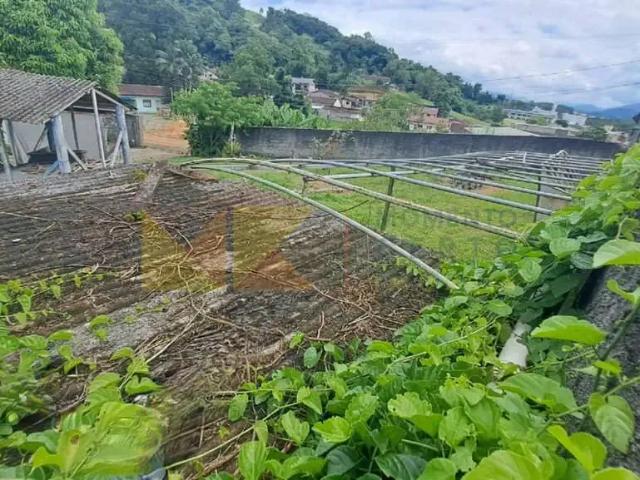 Terreno venda em Região Geográfica Imediata de Blumenau, Blumenau