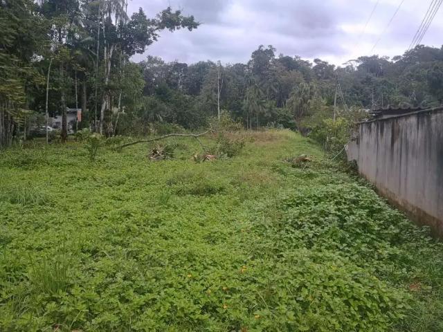 Terreno venda em Região Geográfica Imediata de Blumenau, Blumenau