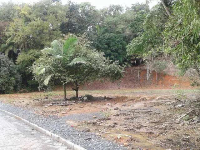 Terreno venda em Região Geográfica Imediata de Blumenau, Blumenau