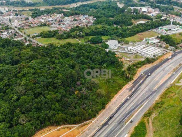 Terreno venda em Região Geográfica Imediata de Blumenau, Blumenau