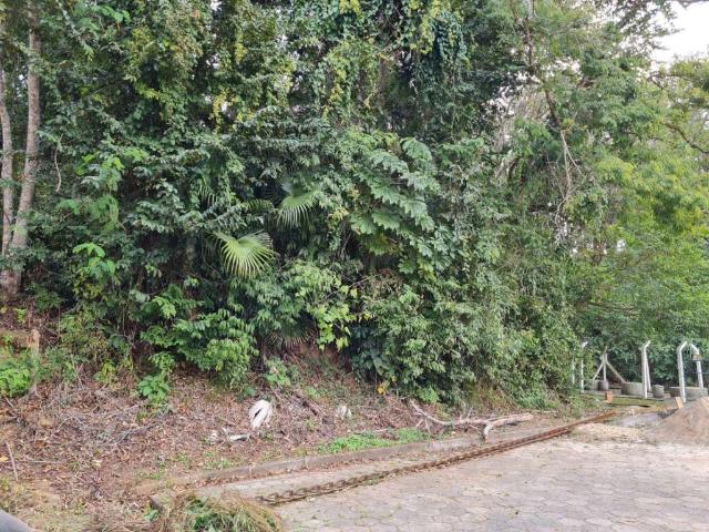 Terreno venda em Região Geográfica Imediata de Blumenau, Blumenau