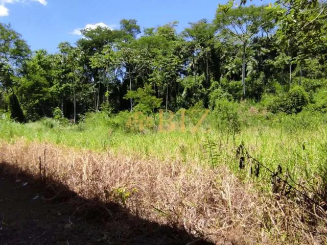 Terreno venda em Região Geográfica Imediata de Blumenau, Blumenau