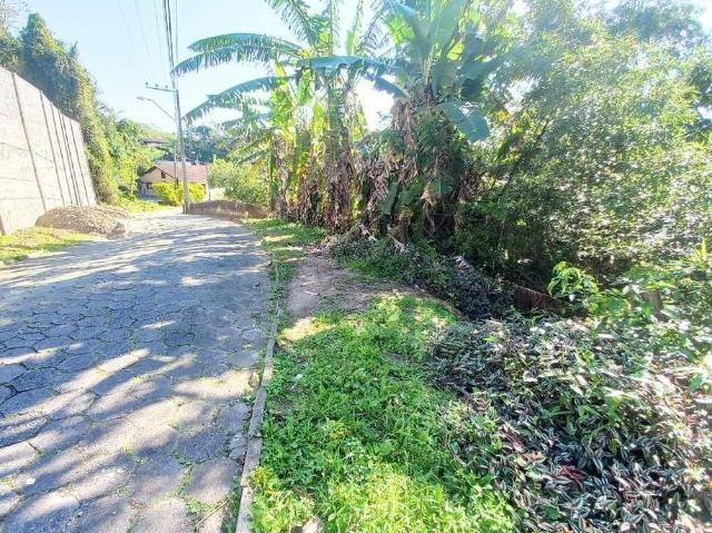 Terreno venda em Região Geográfica Imediata de Blumenau, Blumenau