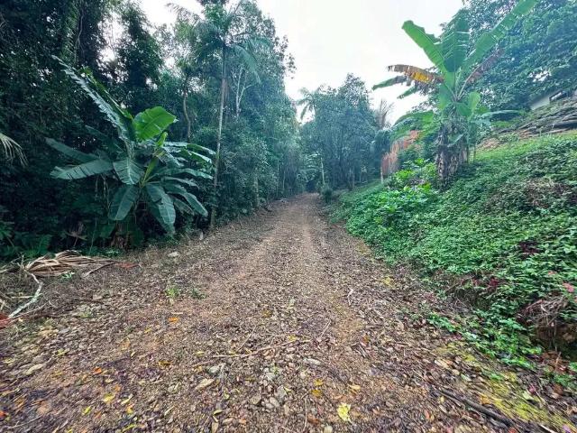 Terreno venda em Região Geográfica Imediata de Blumenau, Blumenau