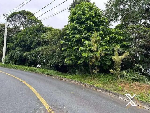 Terreno venda em Região Geográfica Imediata de Blumenau, Blumenau