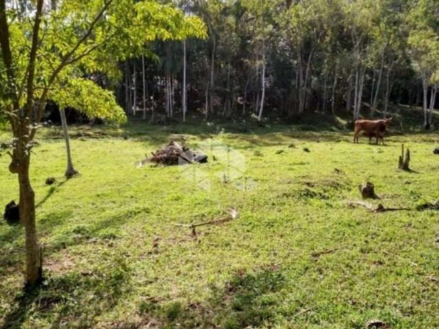 Terreno venda em Região Geográfica Imediata de Blumenau, Blumenau
