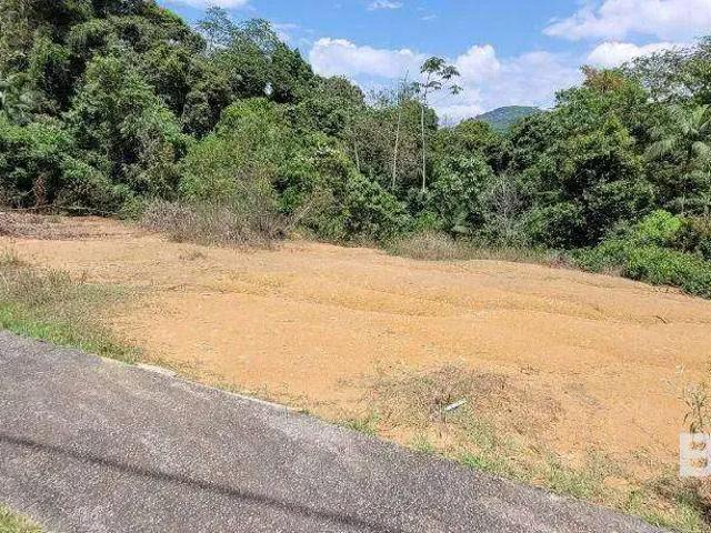 Terreno venda em Região Geográfica Imediata de Blumenau, Blumenau