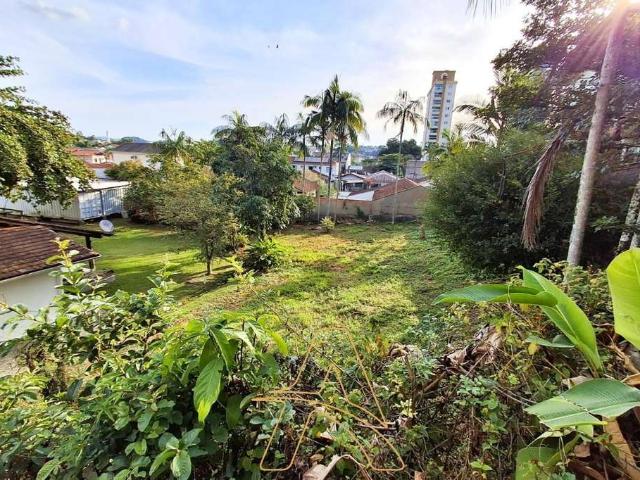 Terreno venda em Região Geográfica Imediata de Blumenau, Blumenau