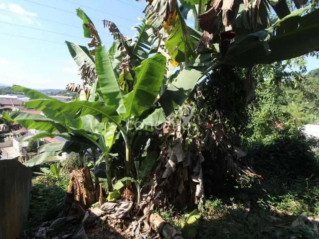 Terreno venda em Região Geográfica Imediata de Blumenau, Blumenau