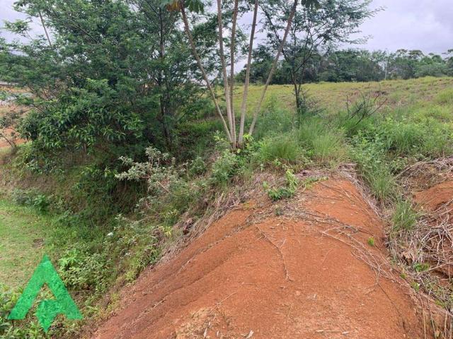 Terreno venda em Região Geográfica Imediata de Blumenau, Blumenau