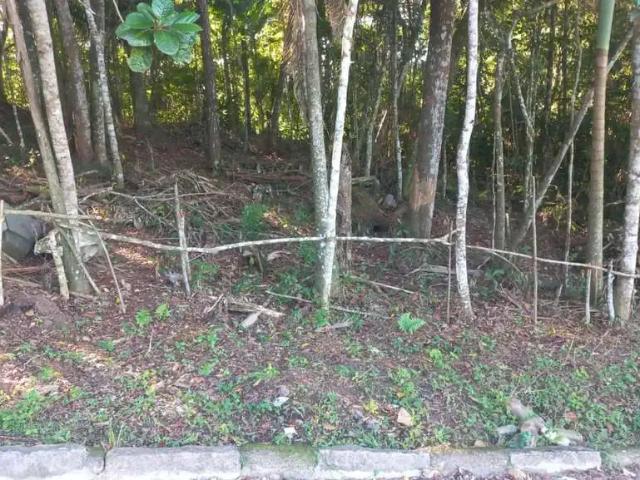 Terreno venda em Região Geográfica Imediata de Blumenau, Blumenau