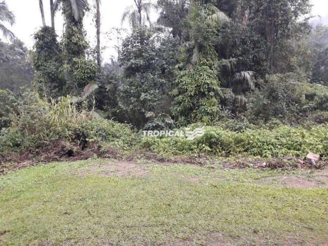 Terreno venda em Região Geográfica Imediata de Blumenau, Blumenau