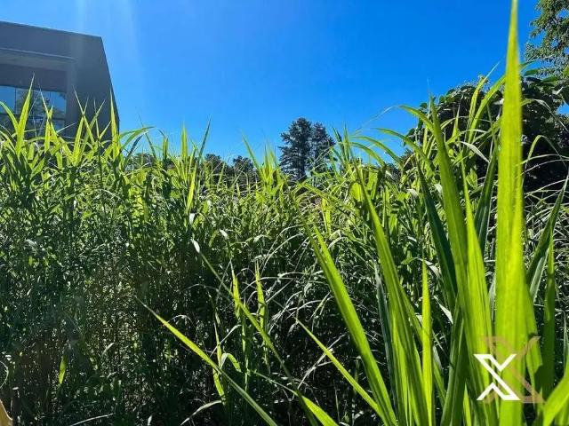 Terreno venda em Região Geográfica Imediata de Blumenau, Blumenau