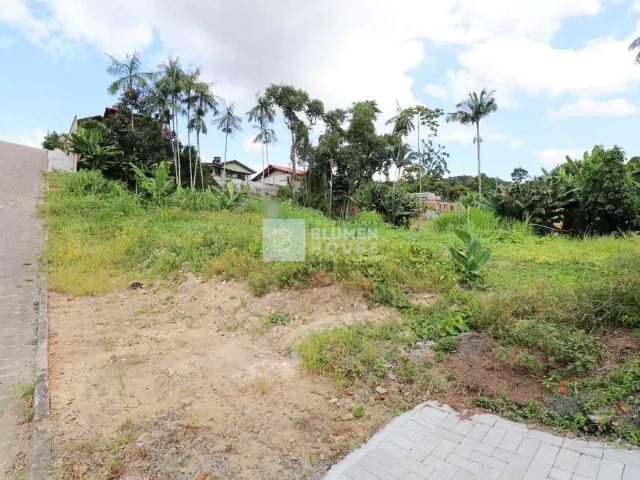 Terreno venda em Região Geográfica Imediata de Blumenau, Blumenau