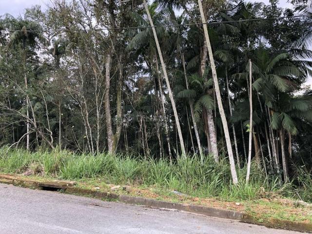 Terreno venda em Região Geográfica Imediata de Blumenau, Blumenau