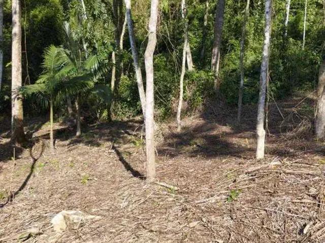 Terreno venda em Região Geográfica Imediata de Blumenau, Blumenau