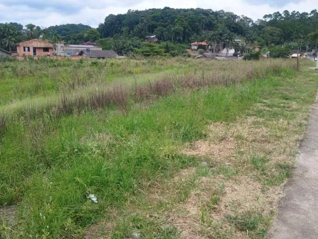 Terreno venda em Região Geográfica Imediata de Blumenau, Blumenau