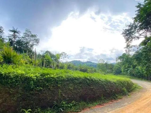 Terreno venda em Região Geográfica Imediata de Blumenau, Blumenau