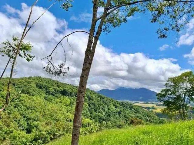 Terreno venda em Região Geográfica Imediata de Blumenau, Blumenau