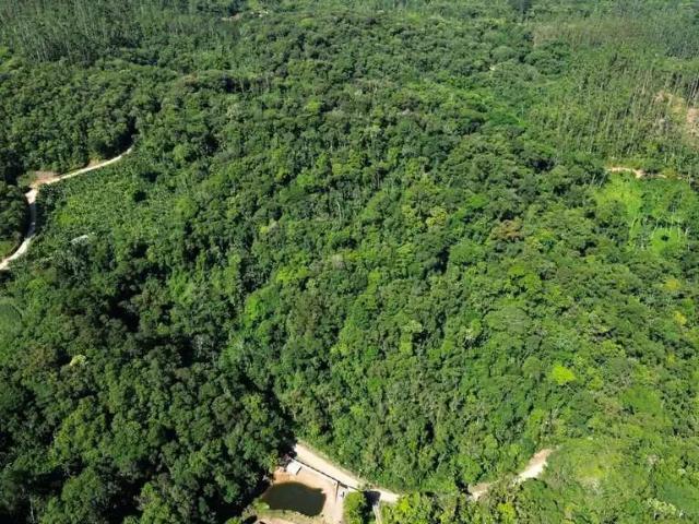 Terreno venda em Região Geográfica Imediata de Blumenau, Blumenau