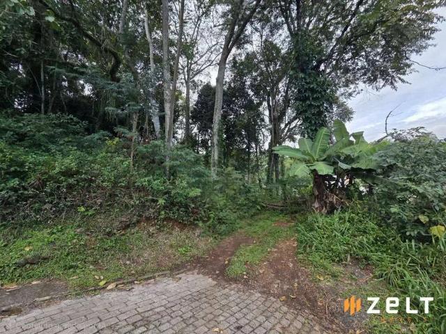 Terreno venda em Região Geográfica Imediata de Blumenau, Blumenau