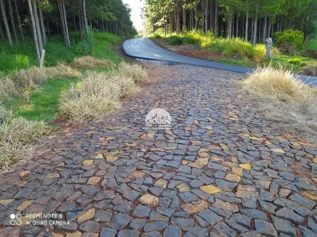 Terreno venda em Região Geográfica Imediata de Cascavel, Boa Vista da Aparecida