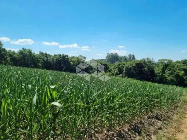 Terreno venda em Região Geográfica Imediata de Bento Gonçalves, Boa Vista do Sul