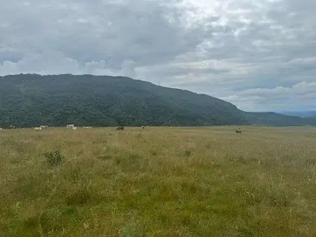 Terreno venda em Região Geográfica Imediata de Maringá, Maringá