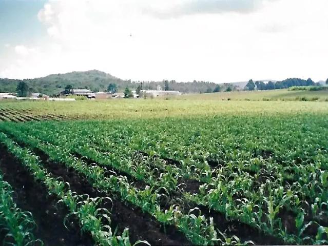 Terreno venda em Região Geográfica Imediata de Curitiba, Região Metropolitana de Curitiba