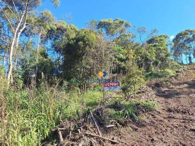 Terreno venda em Região Geográfica Imediata de Curitiba, Região Metropolitana de Curitiba
