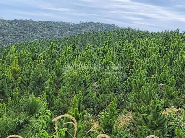 Terreno venda em Região Geográfica Imediata de Curitiba, Região Metropolitana de Curitiba