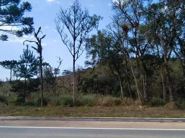 Terreno venda em Região Geográfica Imediata de Curitiba, Região Metropolitana de Curitiba