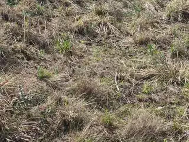 Terreno venda em Região Geográfica Imediata de Curitiba, Região Metropolitana de Curitiba